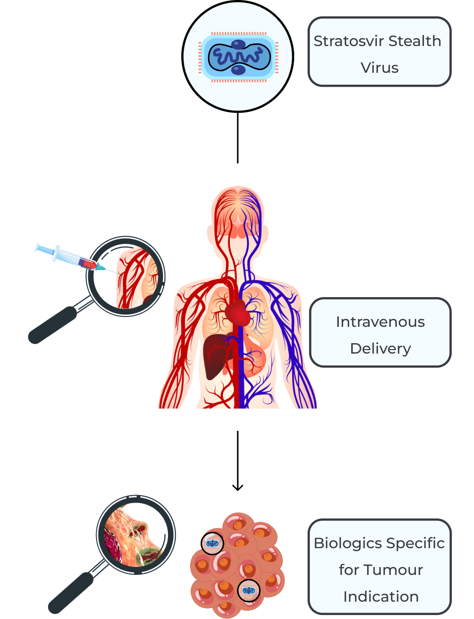 our-approach-mobile-image